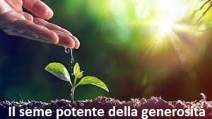 OFFERTE PER LE ATTIVITA DELLA MISERICORDIA - GENNAIO 2023