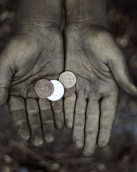 OFFERTE ALLA MISERICORDIA NEL MESE DI AGOSTO 2026