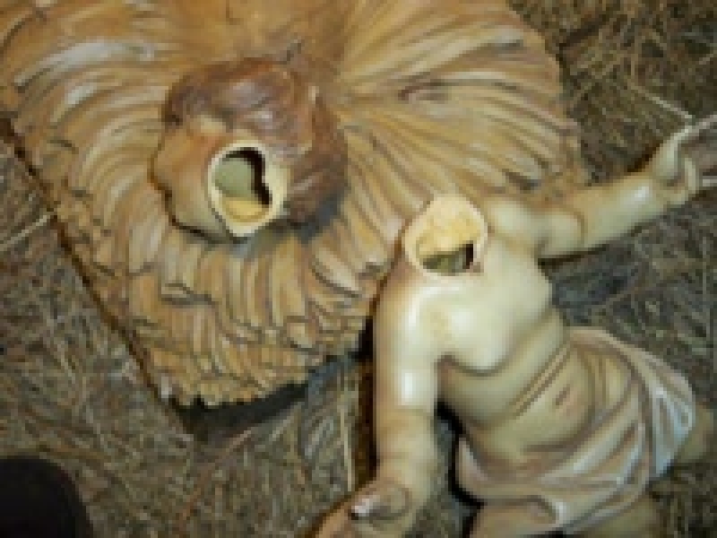 VIOLENTATO IL PRESEPIO DELLA SEDE STORICA DELLA MISERICORDIA