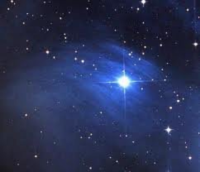LA CENA SOTTO LE STELLE