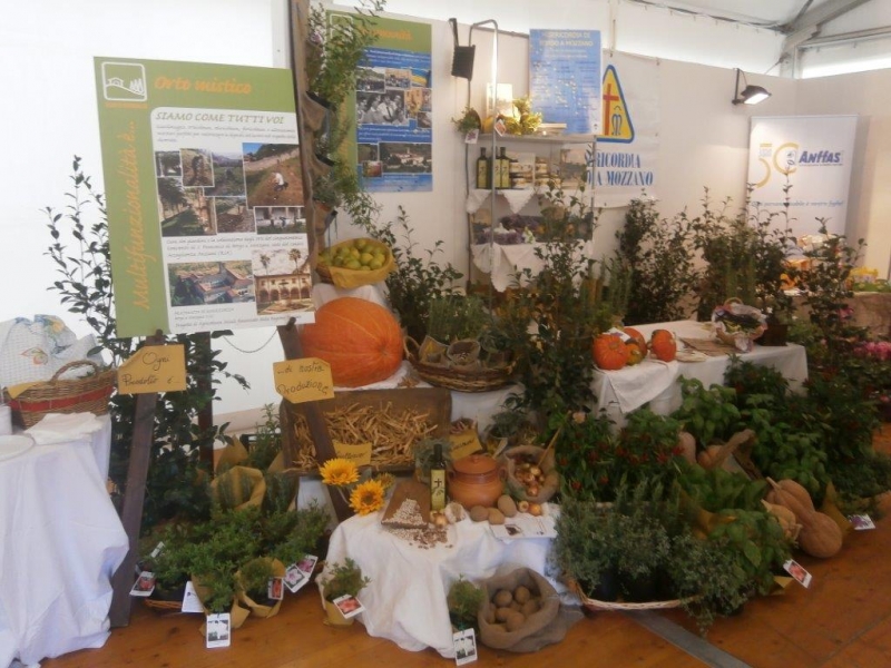 LA MISERICORDIA A EXPO RURALE 2014