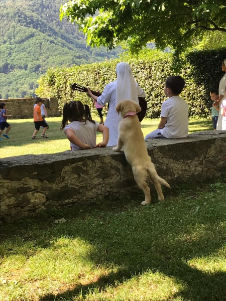 E...STATE CON NOI:
le Misericordie lavorano per un 